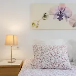 Alba By Cadiz4rentals Apartment Cadiz
